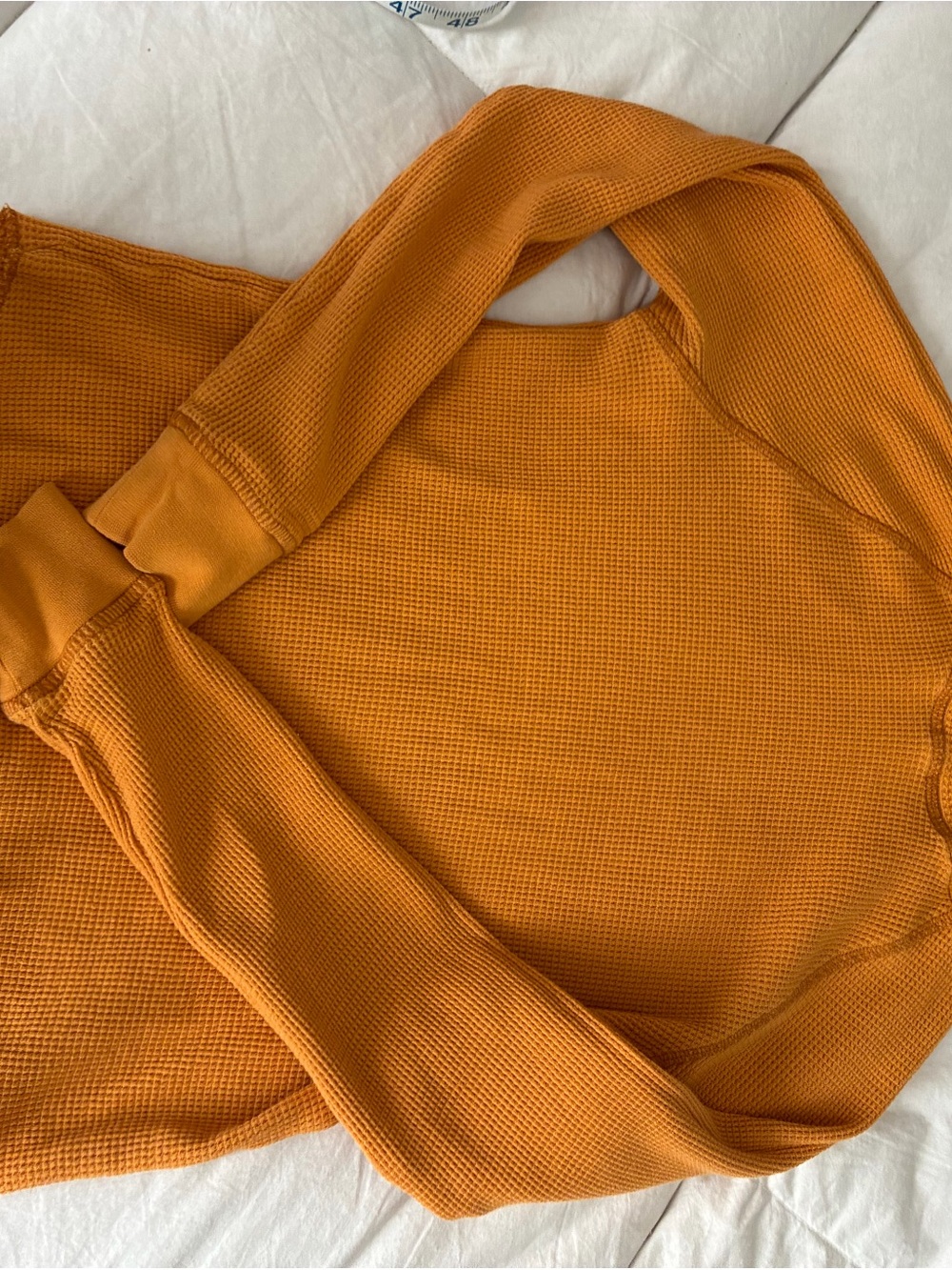 Everlane Women's Waffle Crew Neck Sweater - Mustard Orange